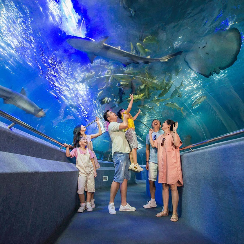 Khám phá thế giới đại dương