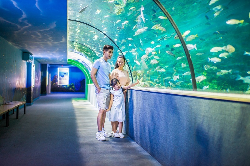 Experience unlimited fun and excitement at Vinpearl Aquarium