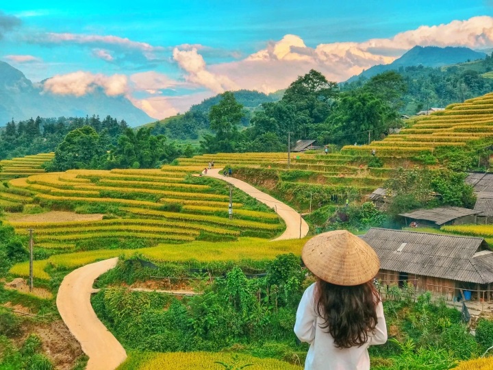 The golden beauty of Sapa during the harvest season is truly captivating