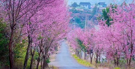 베트남 혼자 여행: 다채로운 풍경과 문화의 풍부한 아름다움을 발견하세요.