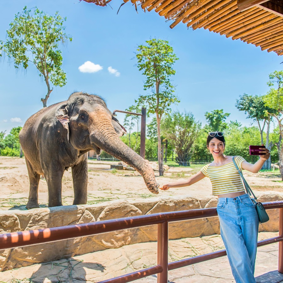 VinWonders Nam Hội An