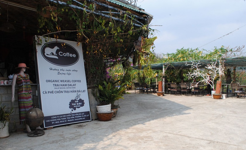 Weasel coffee farm in Dalat