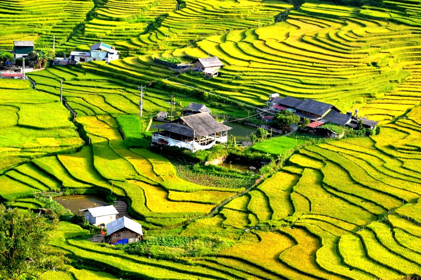 Weather in Sapa in October Admire Sapa’s rice fields in October