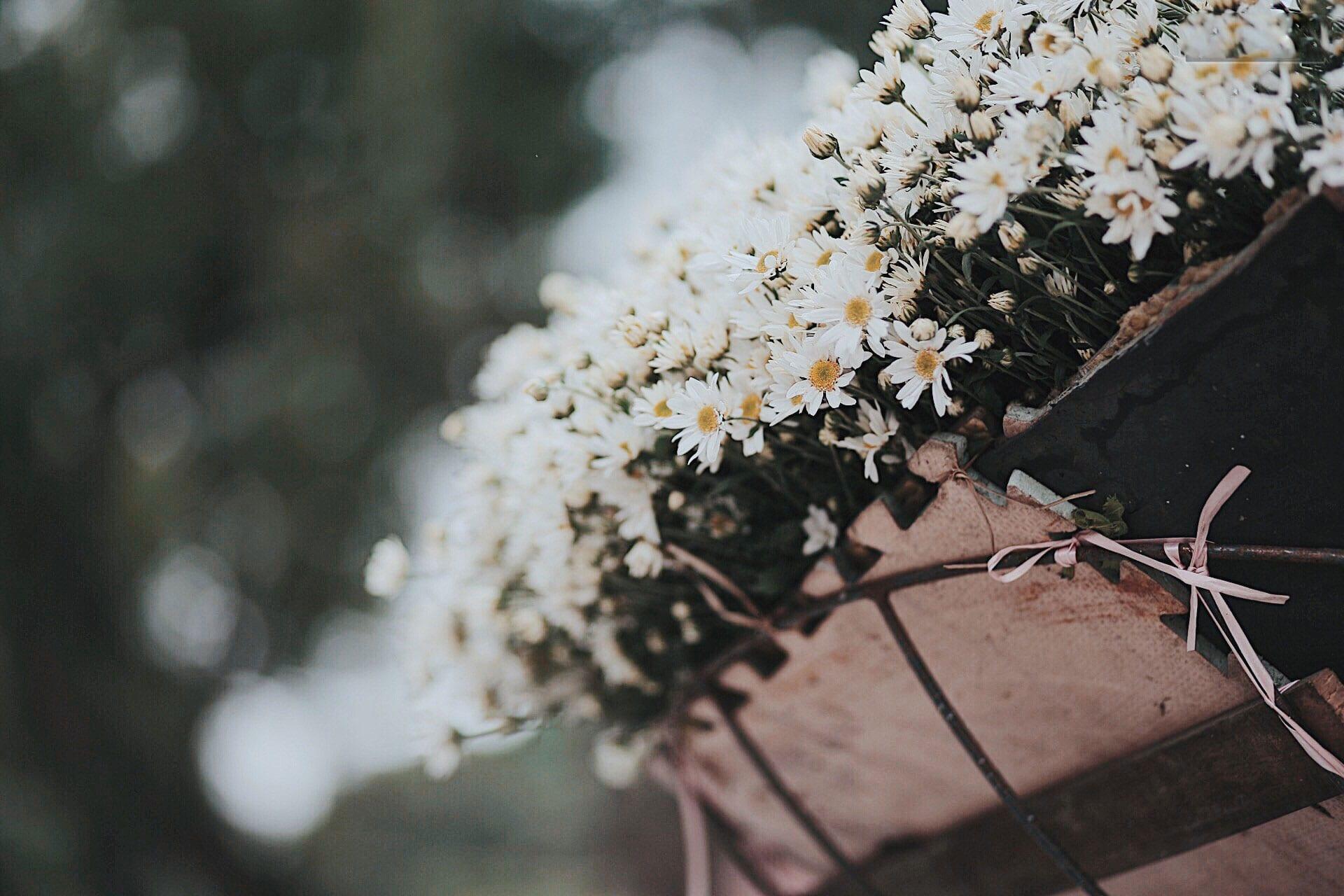 What to do in Hanoi for 5 days