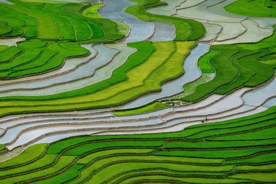 Đến Mù Cang Chải, Yên Bái trong dịp lễ 30/4 1/5, bạn sẽ được chiêm ngưỡng vẻ đẹp của mùa nước đổ