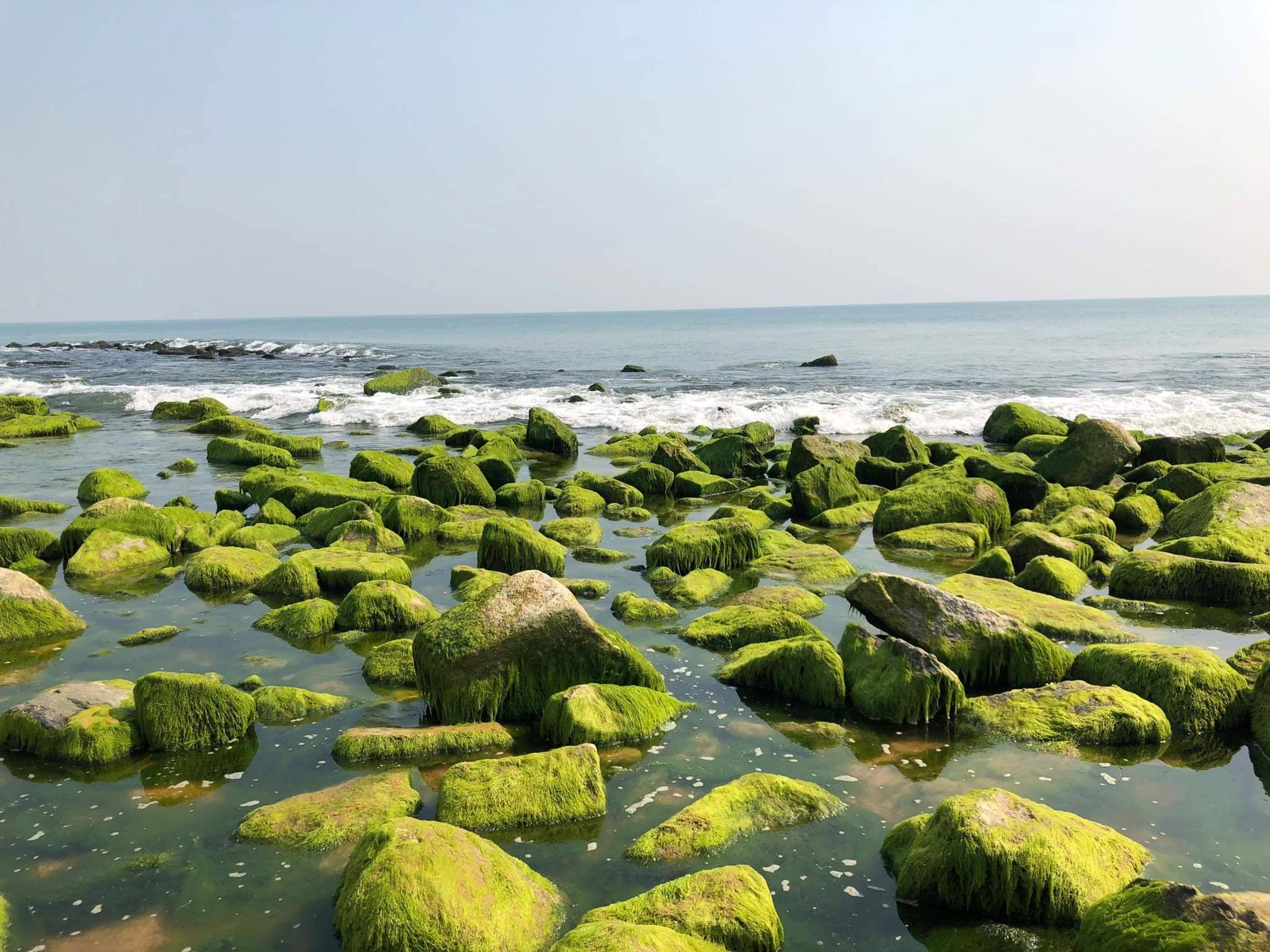 Tuy Hoa Vietnam Xom Ro Moss Phu Yen