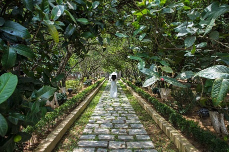 Ghé thăm nhà vườn An Hiên, khám phá kiến trúc đặc trưng của xứ Huế