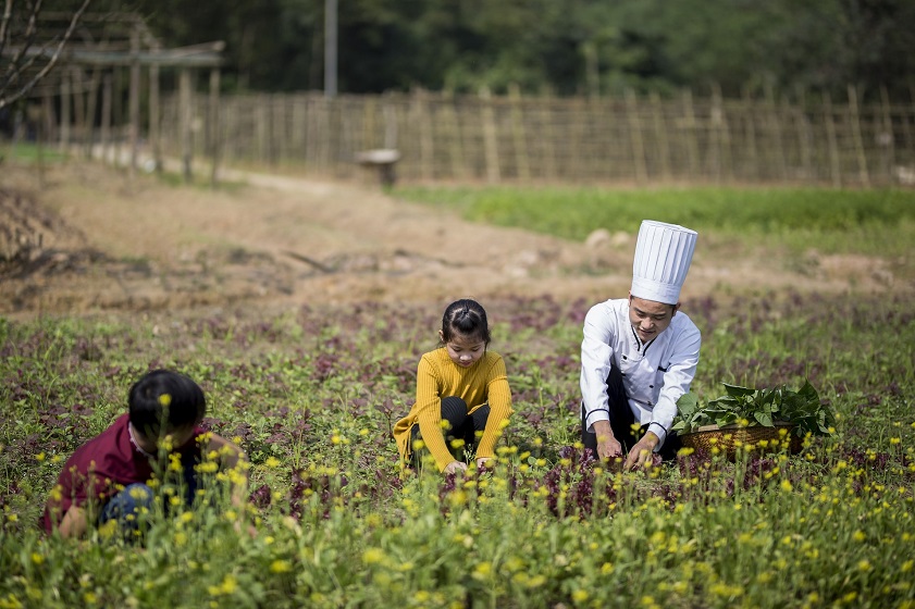 Alba Thanh Tan Hot Springs