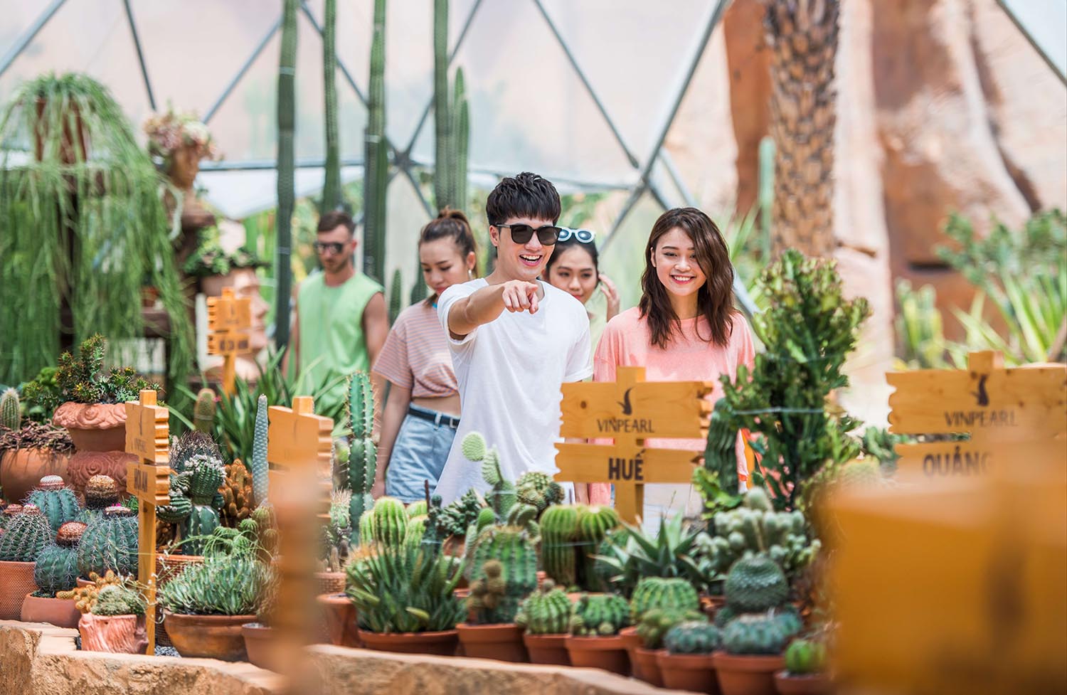 Ăn gì ở Phú Yên Khám phá kỳ hoa dị thảo tại World Garden