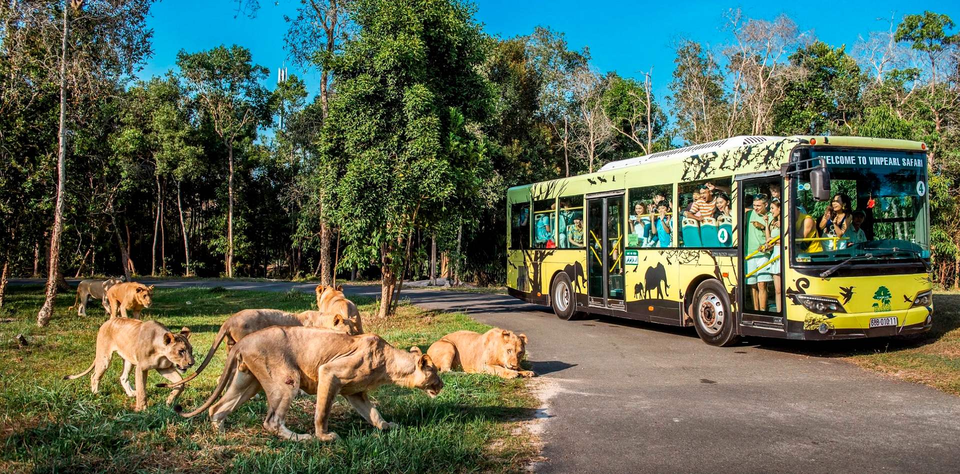 Animals in Vietnamese