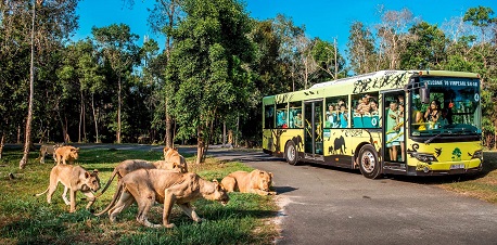 Animals in Vietnamese from A to Z & some fun facts to know