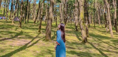 Ba Vì cách Hà Nội bao xa? Kinh nghiệm di chuyển và vui chơi hữu ích