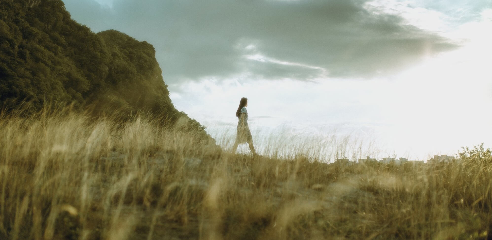 bãi cỏ cháy Đà Nẵng