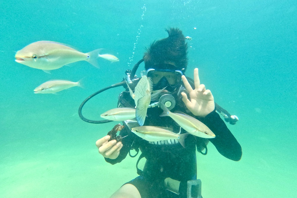 Bãi đá Cầu Mỵ Trải nghiệm lặn biển ngắm nhìn đàn cá bơi lội