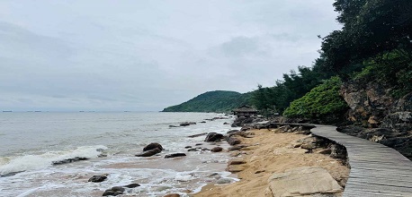 Kinh nghiệm du lịch Bãi Đông Thanh Hóa chi tiết từ A – Z