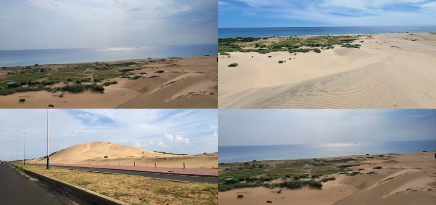 Bãi Gốc Đồi cát Bãi Gốc