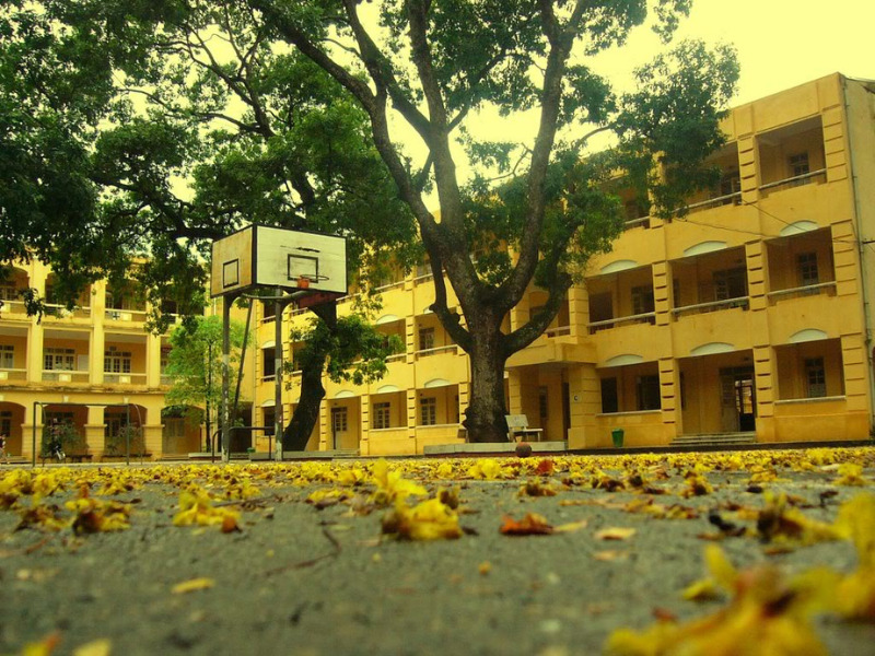 bài hát ngày tựu trường Nắng Sân Trường là một trong những bài hát hay về ngày tựu trường