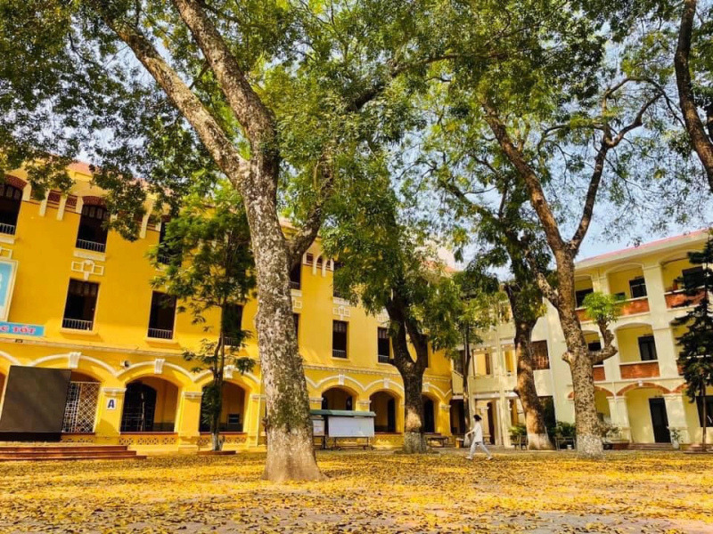 bài hát ngày tựu trường Mái Trường Mến Yêu là bài hát ngày tựu trường quen thuộc trong các buổi lễ khai giảng