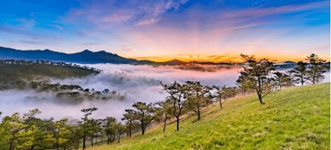 [MỚI NHẤT] Bản đồ Đà Lạt theo phường, điểm du lịch, ăn uống nổi tiếng