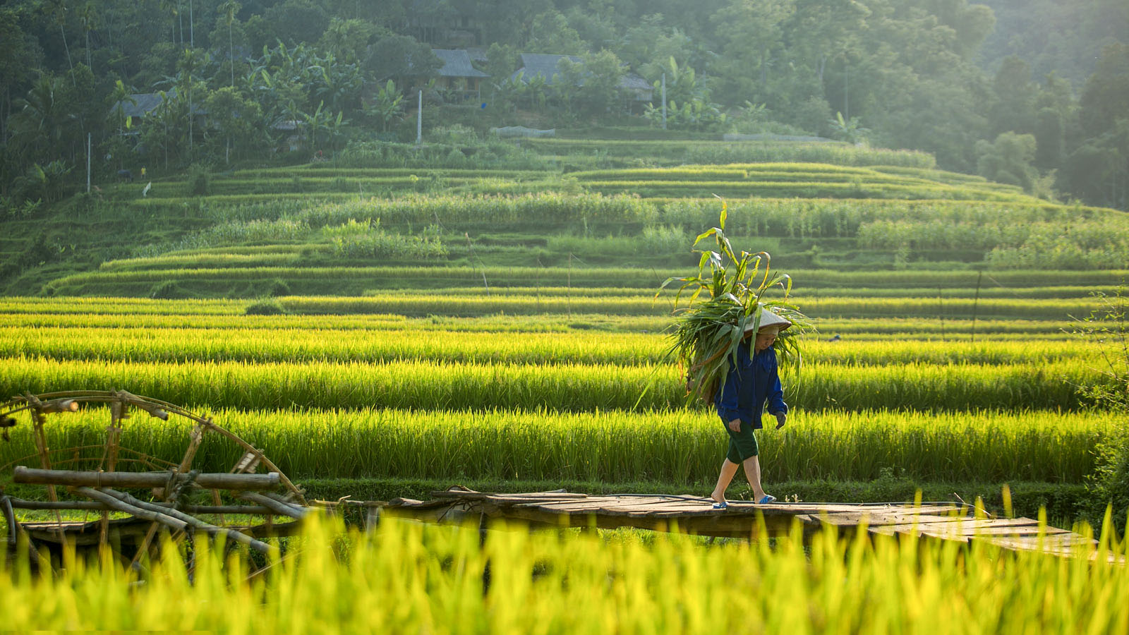 Pù Luông Bản Đôn ở Pù Luông