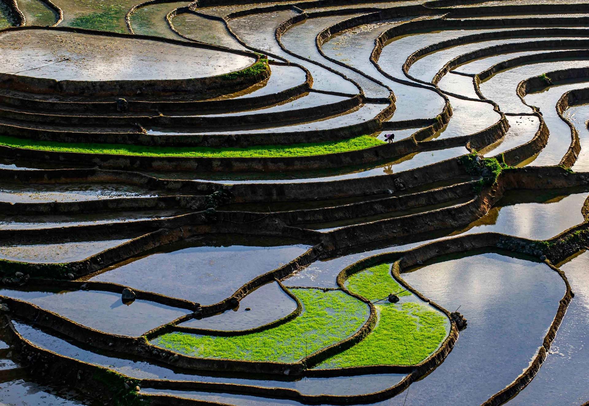 Bản Tả Phìn mùa nước đổ