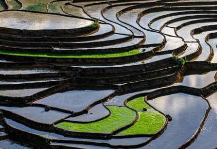 Bản Tả Phìn – điểm đến thú vị trên bản đồ du lịch Tây Bắc