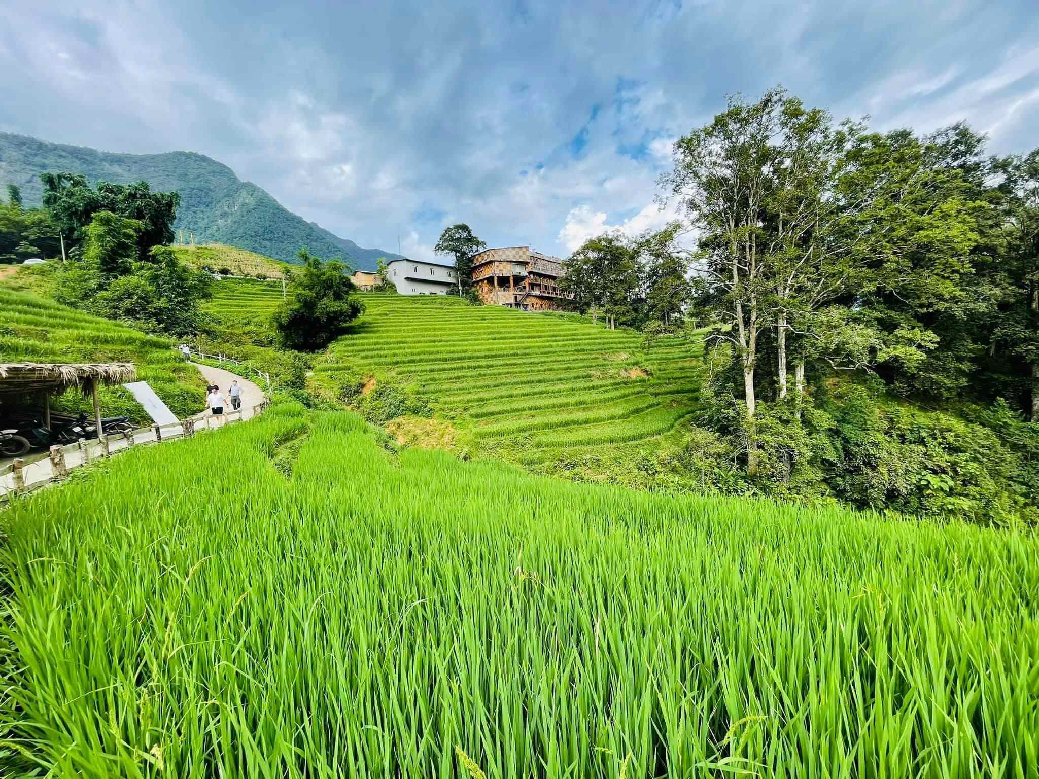 Bản Tả Van Sa Pa