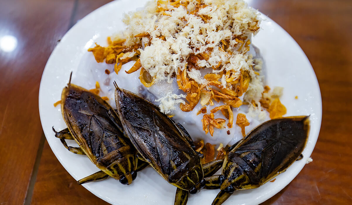 Bánh cuốn cà cuống Hà Nội Bánh cuốn cà cuống Hà Nội