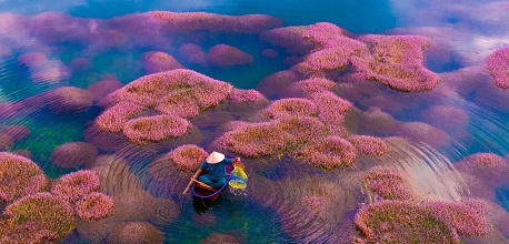 Bảo Lộc có gì chơi? 15+ địa điểm du lịch Bảo Lộc hấp dẫn nhất