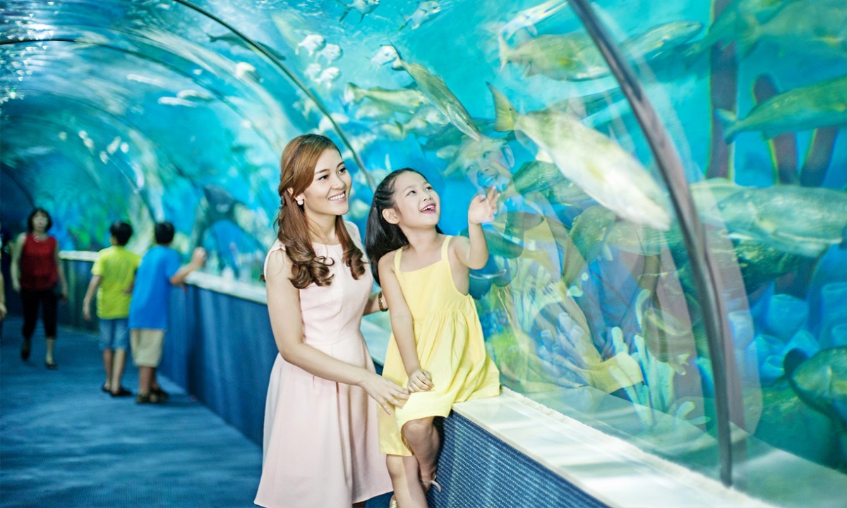 Thuỷ cung Vinpearl Aquarium là nơi quy tụ của hơn 30.000 sinh vật biển
