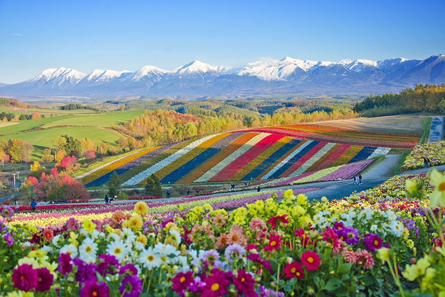 Hokkaido offers a range of experiences that will captivate any traveler 