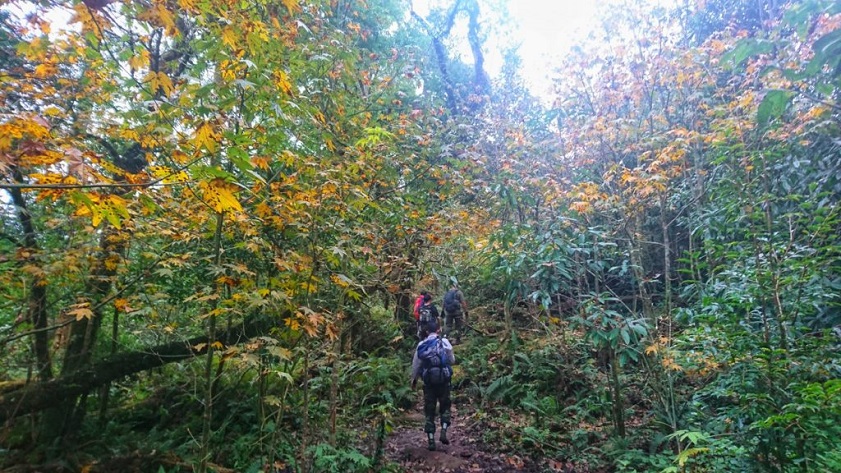 Hoang Lien National Park best time to visit Hoang Lien National Park