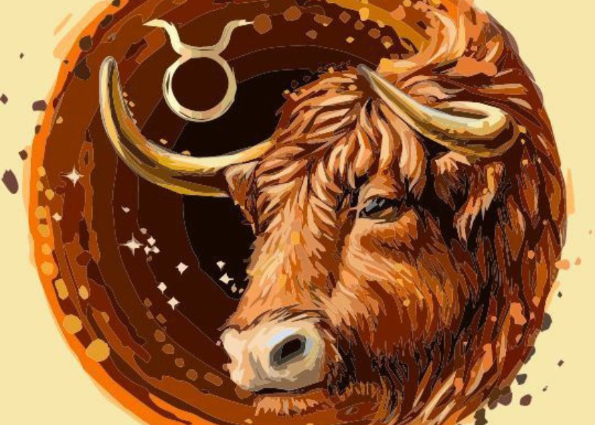 Biểu tượng cung Kim Ngưu Biểu tượng và ký hiệu của cung Kim Ngưu gắn liền với hình ảnh con bò đực