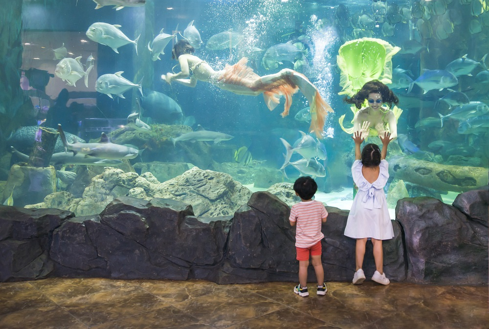 Vinpearl Aquarium Times City