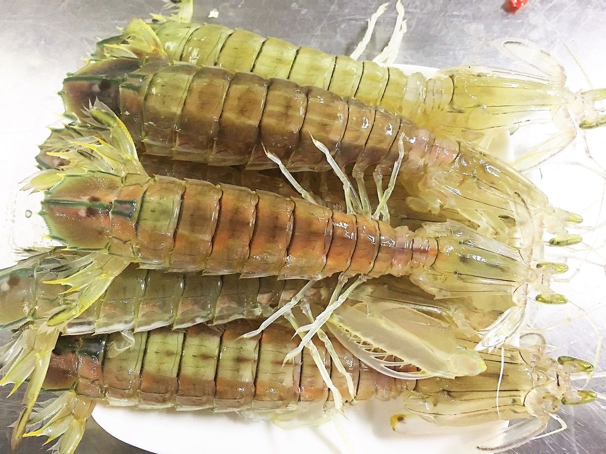 Bún bề bề Người dân Hạ Long thường sử dụng bề bề trắng bởi thịt chắc và ngọt hơn bề bề hẹn