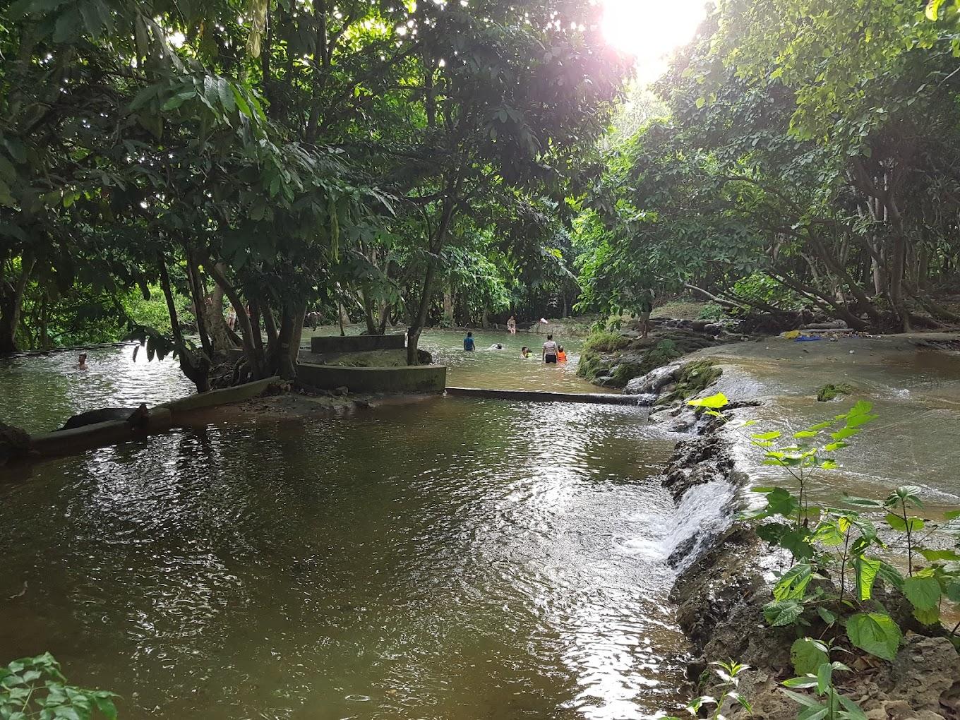 Các review Thác Voi Thanh Hoá