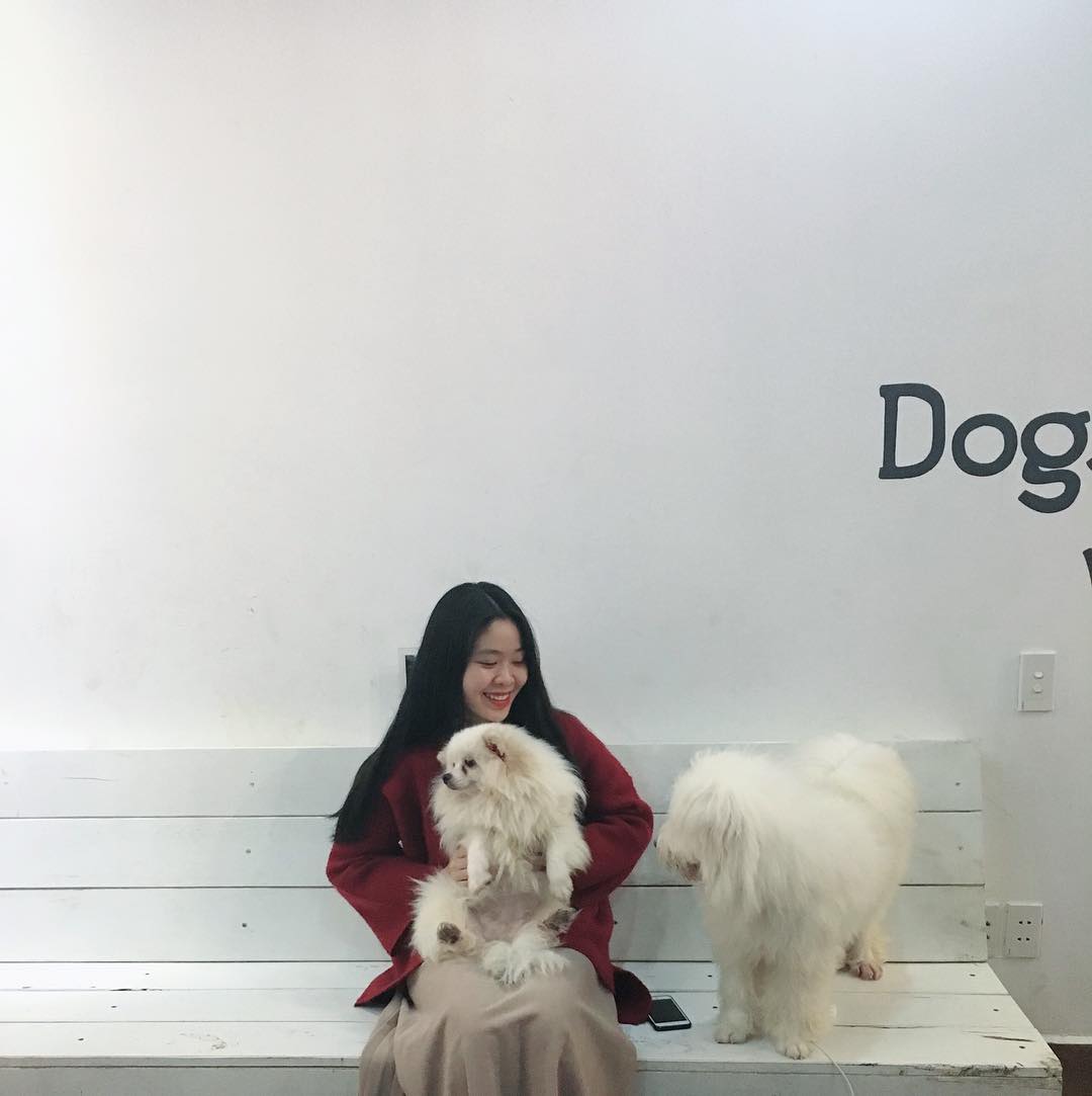 Cafe chó Hà Nội Luffy là quán cafe chó Hà Nội cực kỳ đông khách