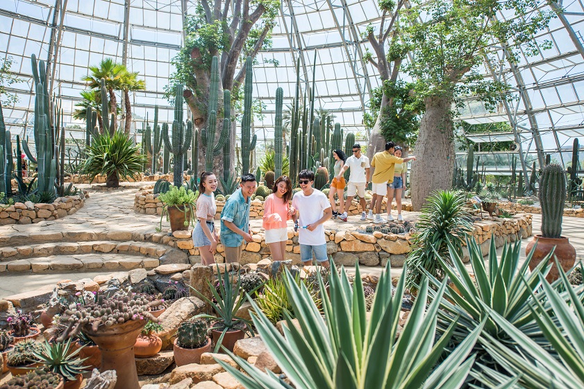 Vạn trải nghiệm hấp dẫn đang chờ đón bạn tại VinWonders Nha Trang