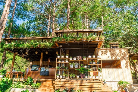 Cao Nguyên Hoa Đà Lạt – điểm du lịch siêu HOT “không đi thì phí”