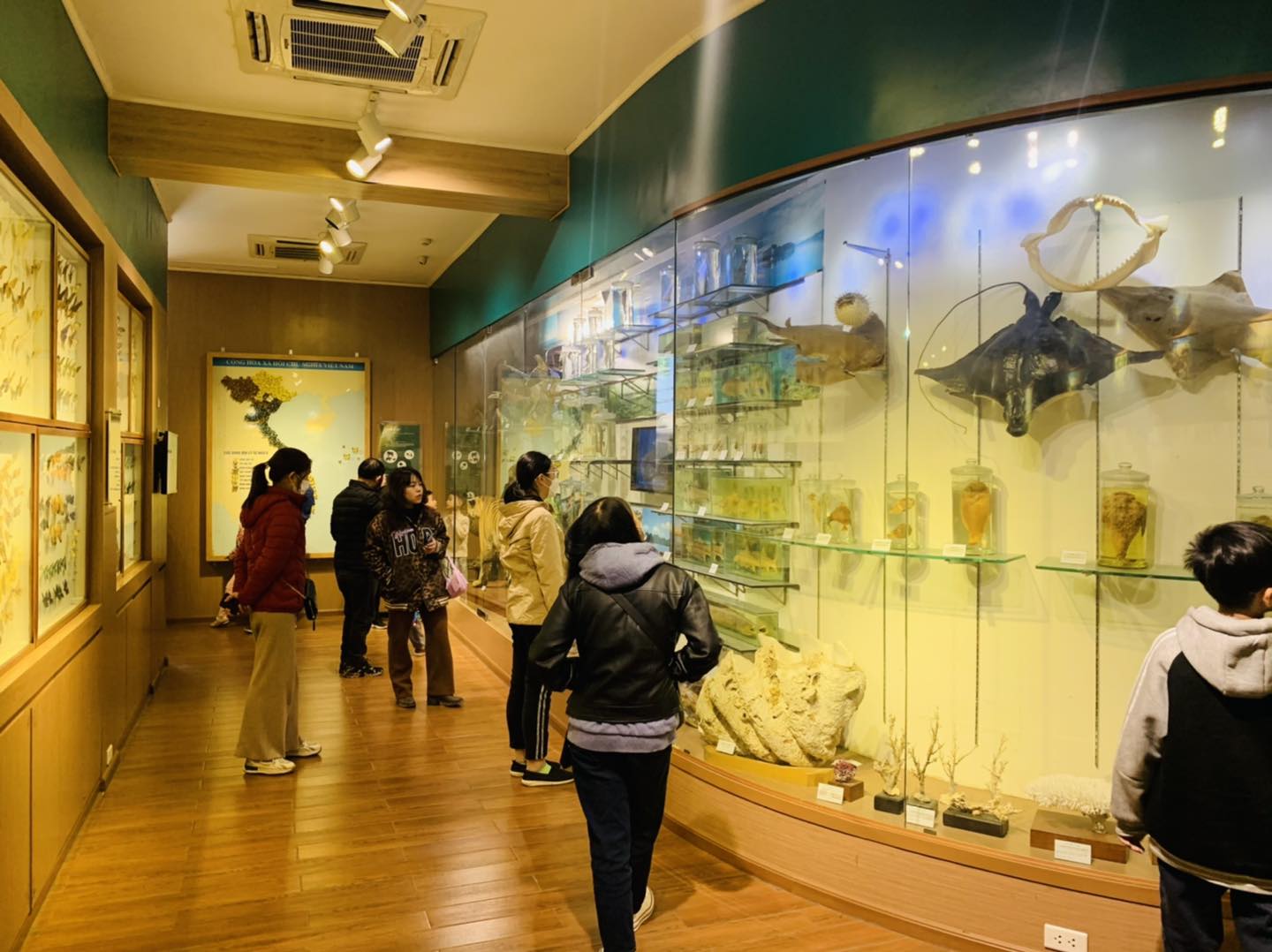 Chiêm ngưỡng các hiện vật tại bảo tàng Thiên nhiên Việt Nam