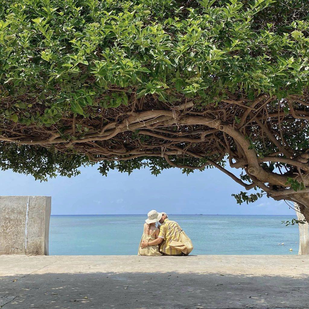 Thời điểm phù hợp trong ngày đến check in cây cô đơn