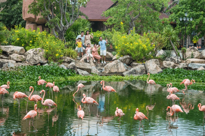 Một thế giới tự nhiên thu nhỏ, tất cả có trong King’s Garden