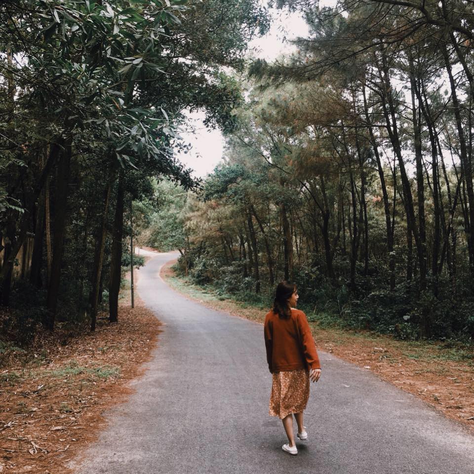 Đồi Thiên Văn Check-in đồi Thiên Văn