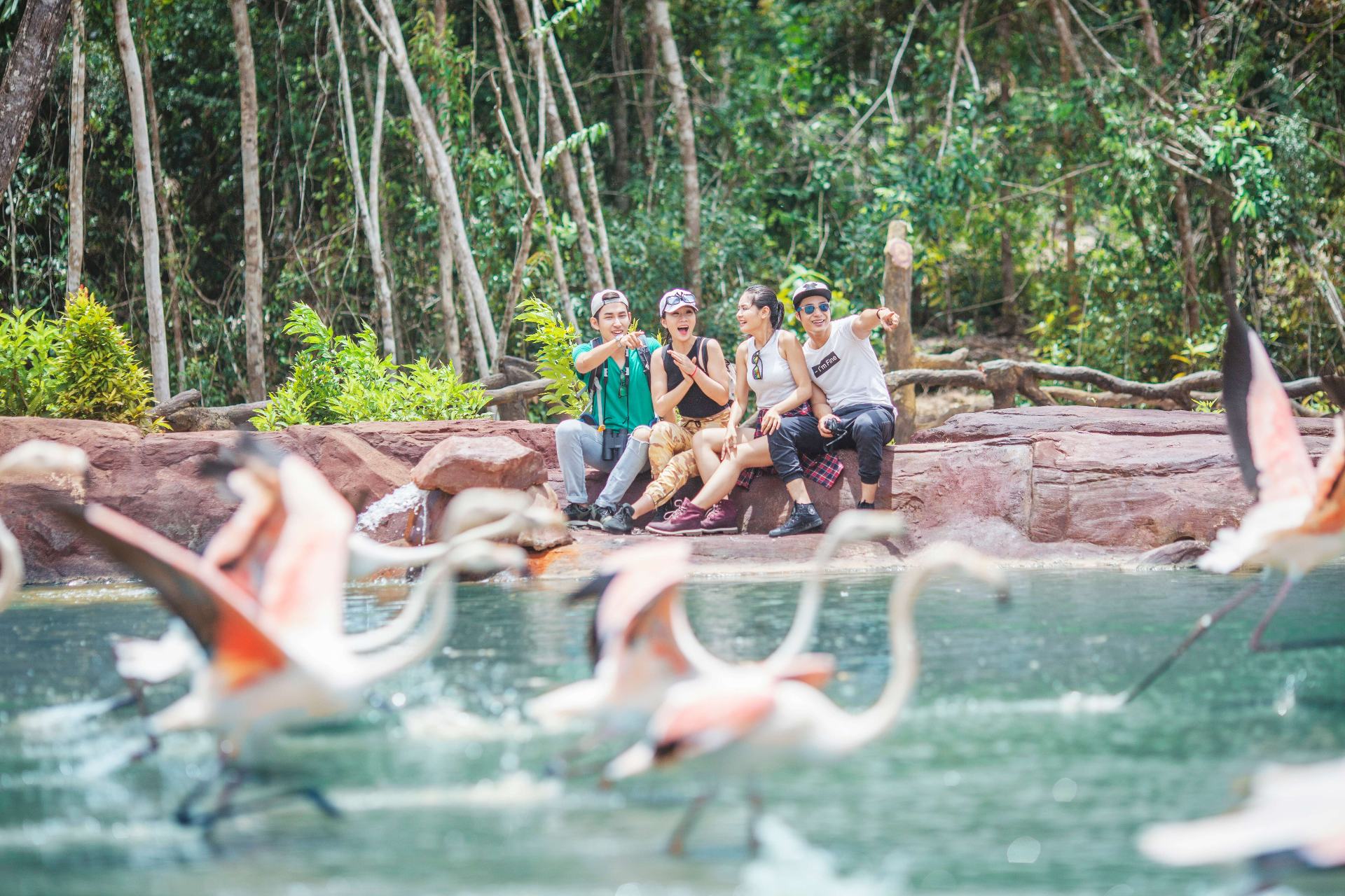 chim Chiêm ngưỡng hàng nghìn loài chim tại Vinpearl Safari