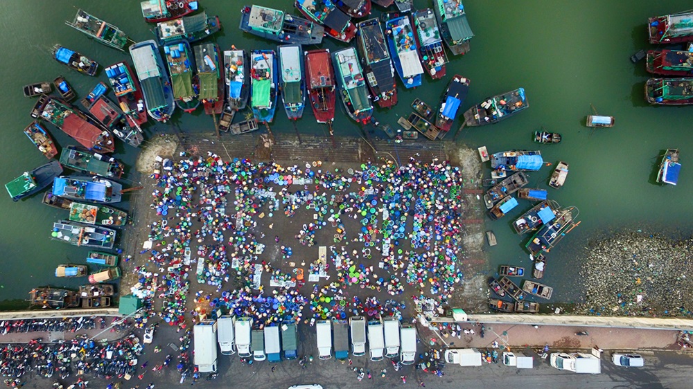 Chợ cá Hạ Long Chợ cá Hạ Long - địa điểm du lịch thú vị tại Quảng Ninh