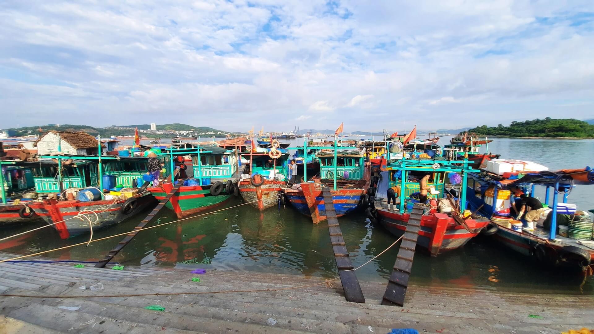 Chợ cá Hạ Long