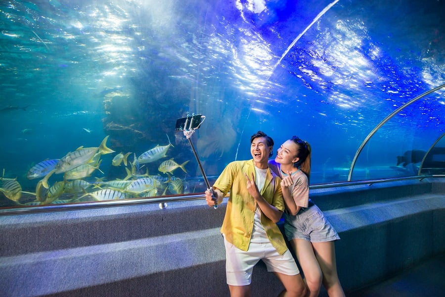 Lạc bước vào thế giới đại dương tại thủy cung huyền bí của VinWonders Nha Trang