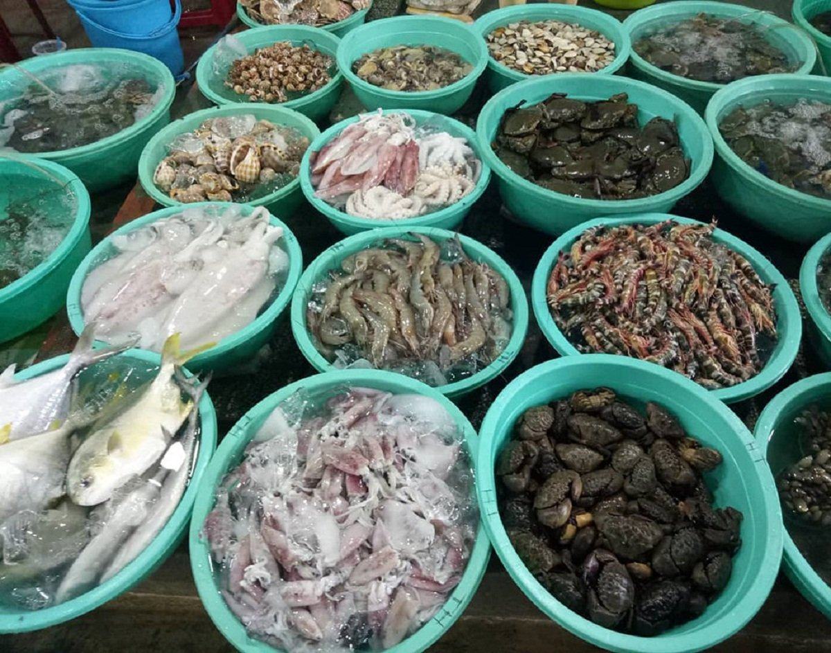 Hải sản Thanh Hóa Chợ Điện Biên Thanh Hóa