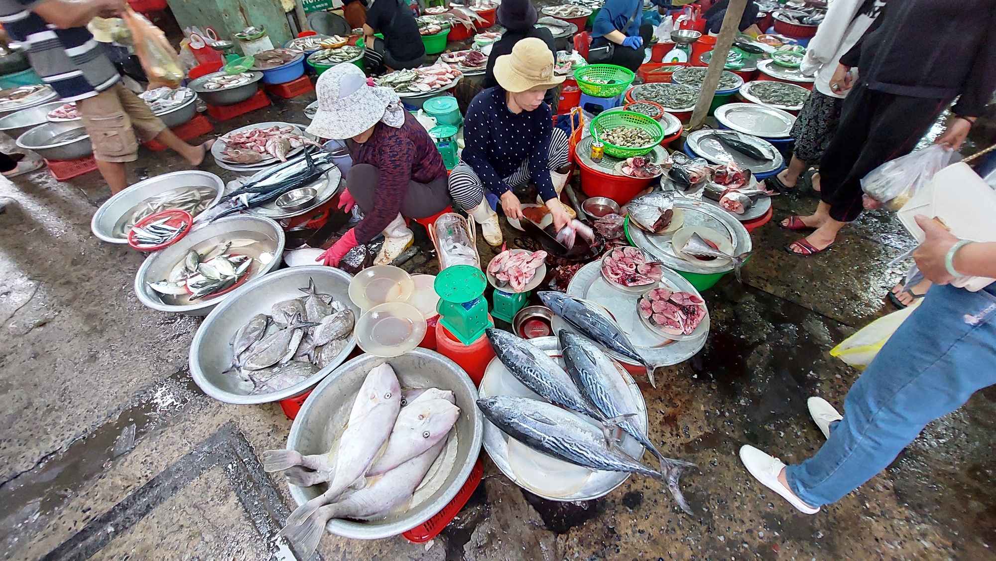 Hải sản Thanh Hóa Chợ hải sản Hải Hòa Thanh Hóa