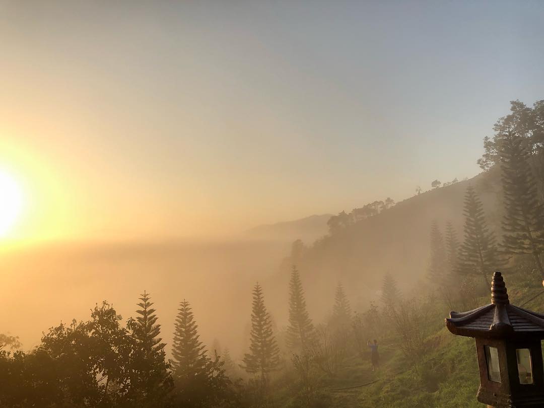 View “sương khói mờ nhân ảnh” từ chùa